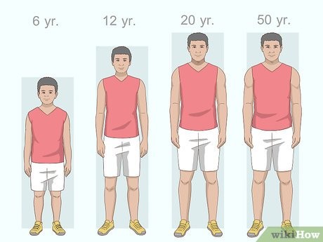 Is It Possible to Increase Your Height After 18?