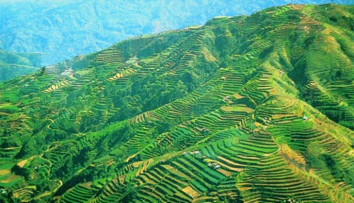 Of Affections and Places:  Banaue Rice Terraces, Philippines 