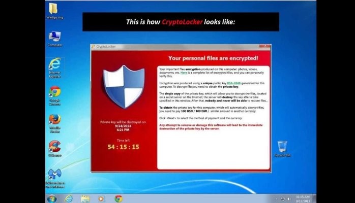 A short introduction to the Cryptolocker Virus