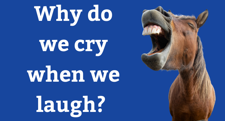 Why do we cry when we laugh? 