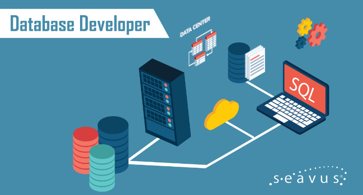 Responsibility, skills and salary of Database Developer