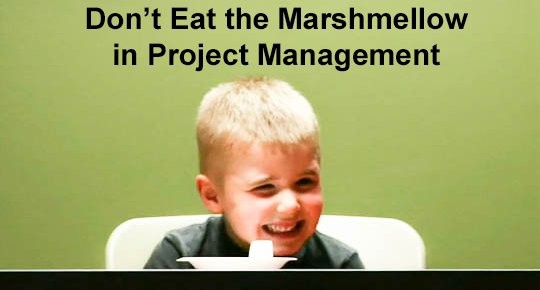 Don't Eat the Marshmallow in Project Management