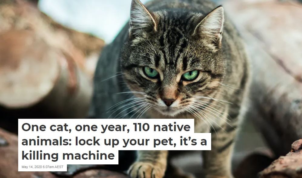 Domestic Cats are Killing Machines