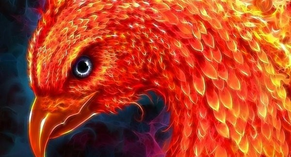 The Phoenix experiment