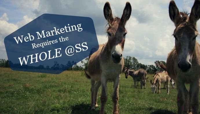 Web Marketing Requires the Whole @ss