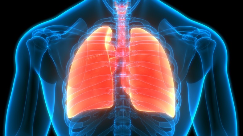 New screening guidelines likely to identify more early lung cancers New screening guidelines likely to identify more early lung cancers