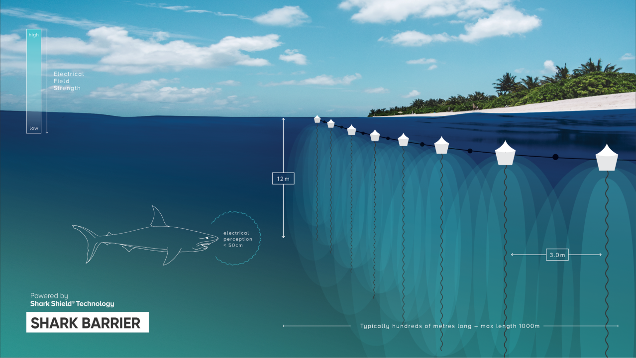 Ocean Guardian releases large scale virtual shark net for beaches, resorts  and aquaculture