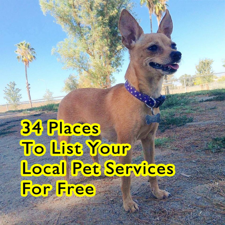 34 Places To List Your Local Pet Services For Free