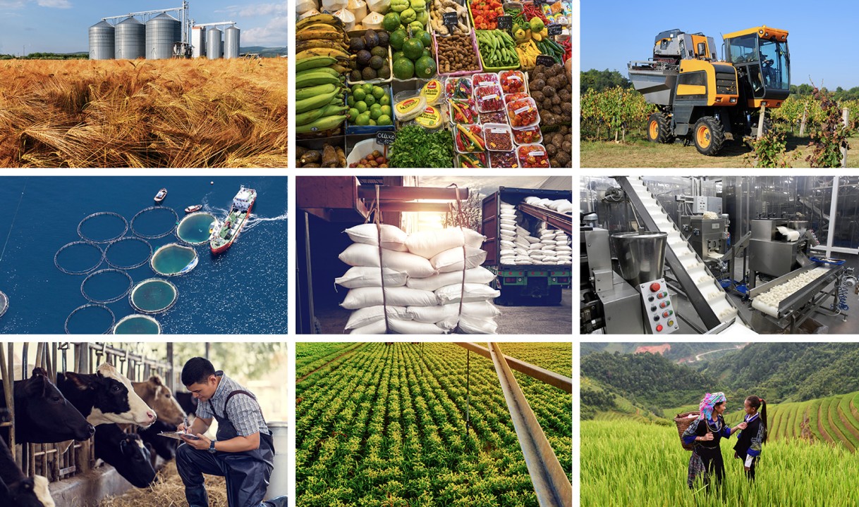 WHAT IS THE FOOD SYSTEM?- FOOD SUPPLY CHAIN IN A NUTSHELL: