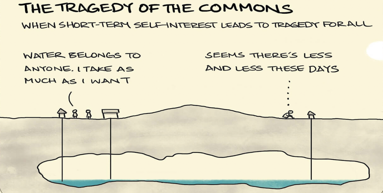 Tragedy of the Commons - how every man for himself can leave the world in ruins.
