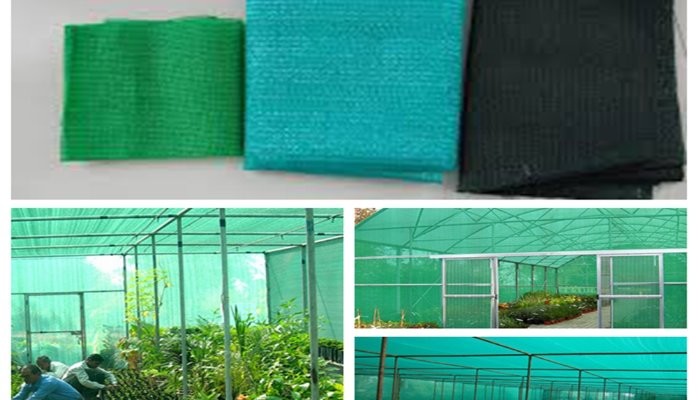 Use of Colored Shade Netting in Horticulture