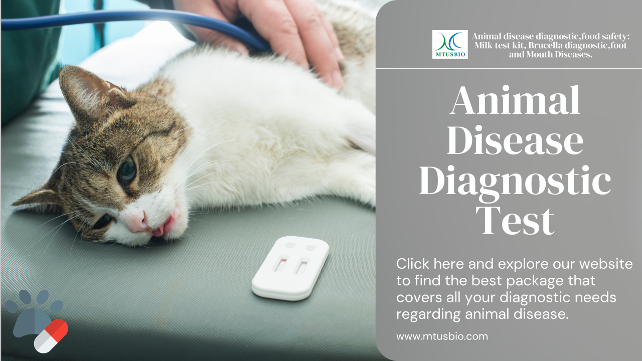 5 Common Animal Disease, Test, Cause, Symptoms, Treatment