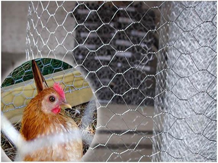 chicken wire netting