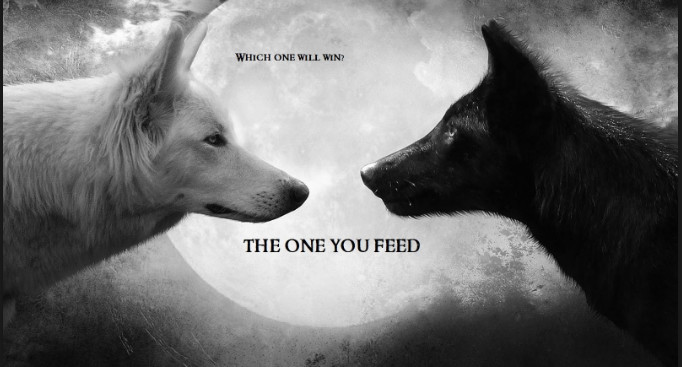 A New Spin On An Old Cherokee Proverb: The Tale of Two Wolves