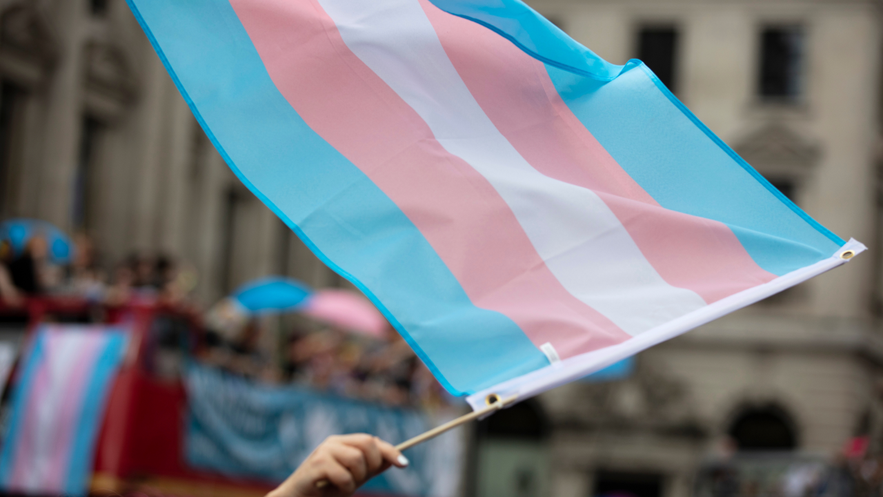 What your trans co-workers want you to know about their lives on Transgender Day of Visibility (and all year long)