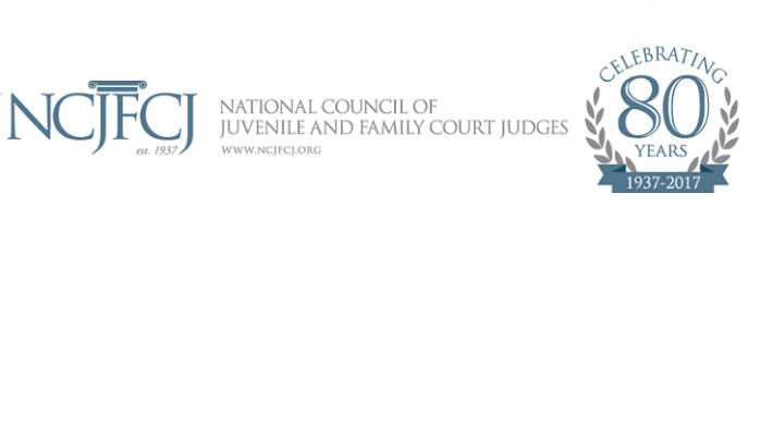 Mark A. Krasner, CPA, Esq., Elected to the National Council of Juvenile and Family Court Judges