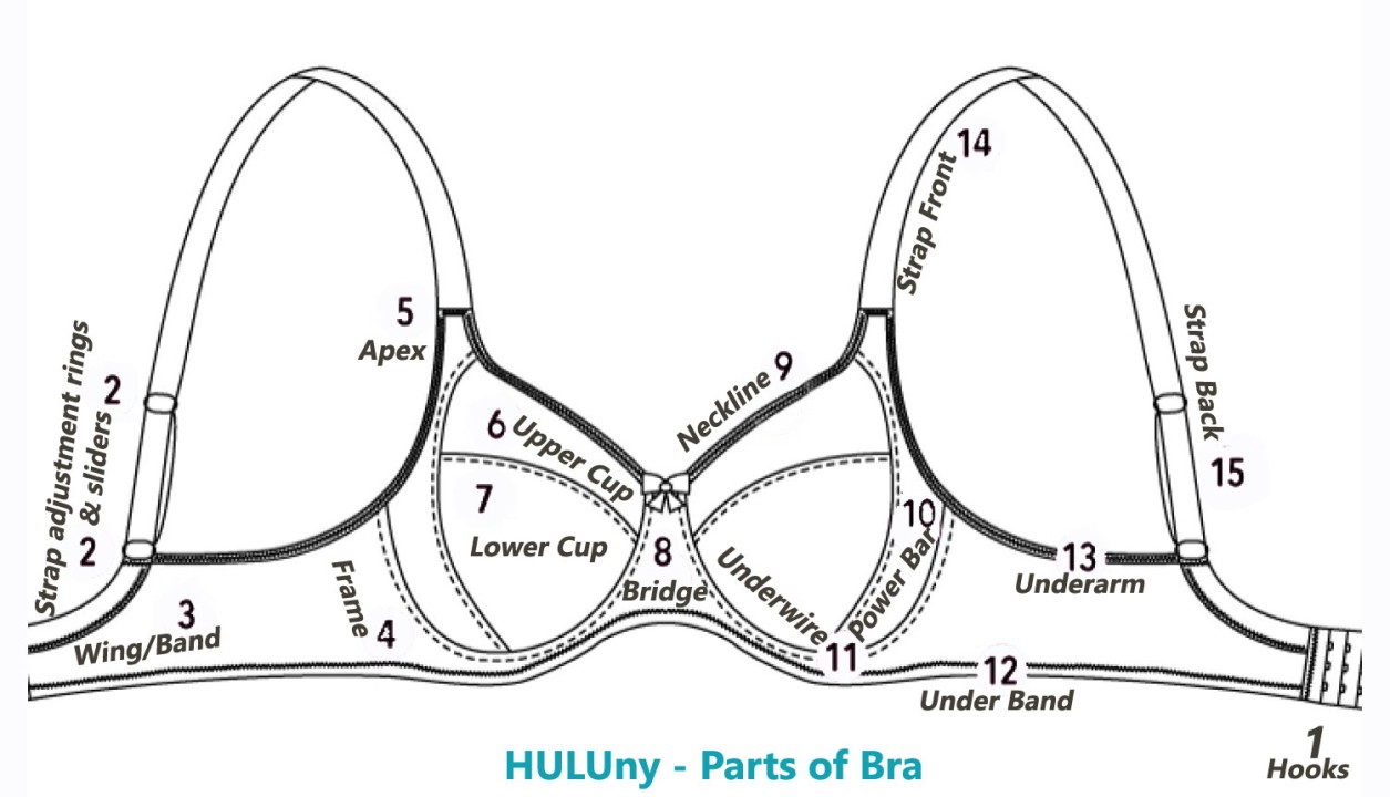 Brasserie - All You Need to Know About Bra Parts & Its Manufacturing
