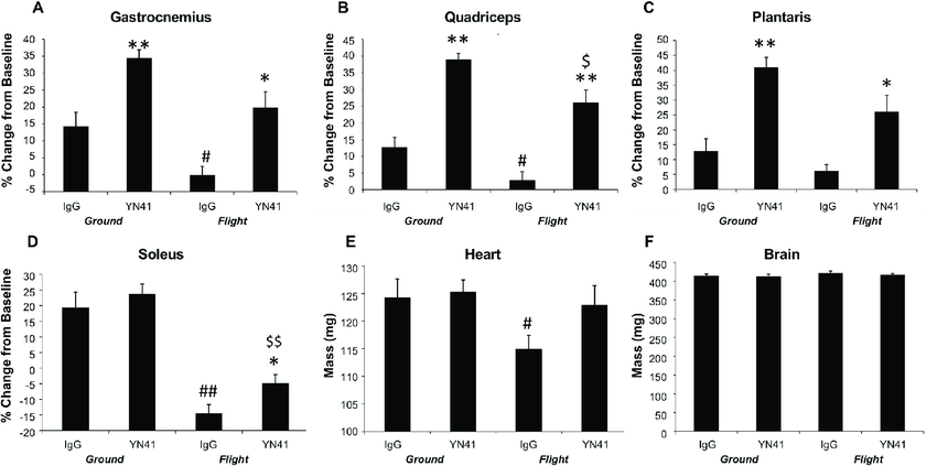 Myostatin: a muscle hypertrophy secret