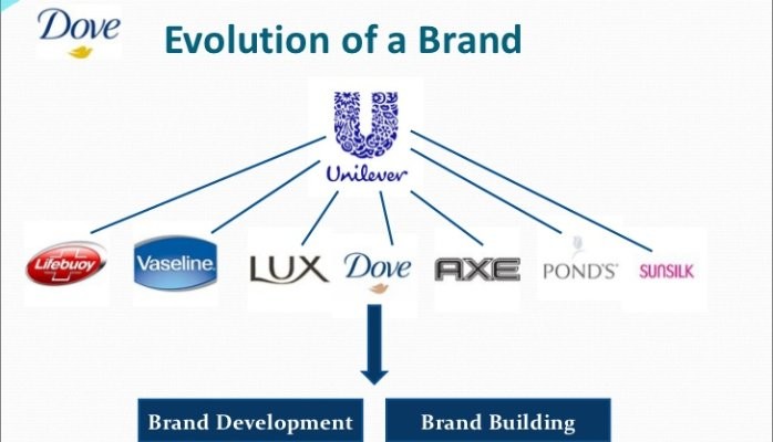 Dove : Evolution Of The Brand