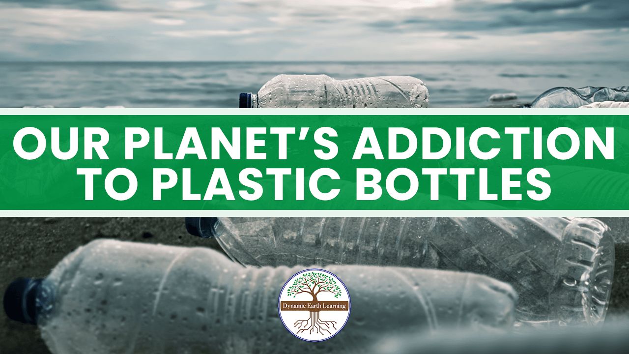 How Plastic Water Bottles are Destroying the Planet - Wowe Lifestyle