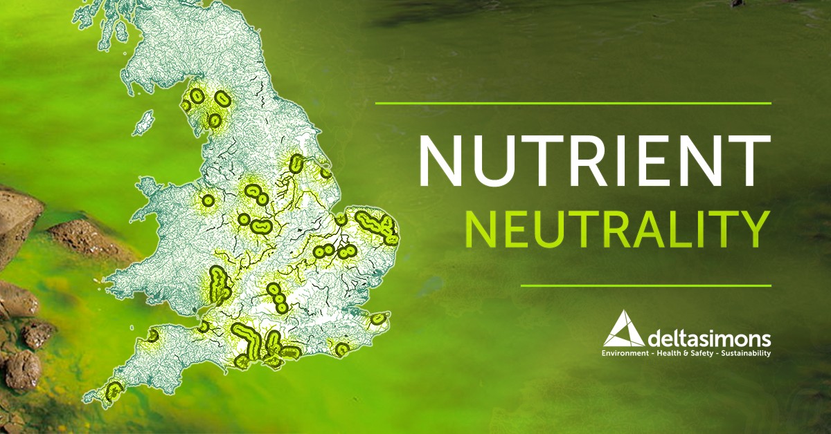 Nutrient Neutrality  - Stodmarsh / Stour Catchment