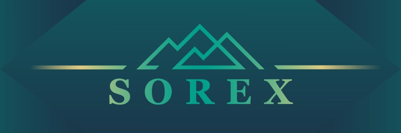 Sorex.io — AI Investment Platform, Exchange with 300+ Crypto Assets, Binary Options