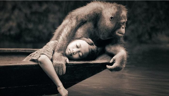 Gregory Colbert Ashes & Snow: The music of nature shared in silence
