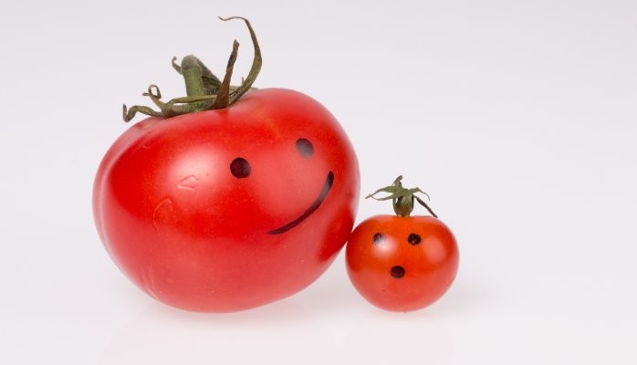 How a Tomato Helped Me Stop Procrastinating