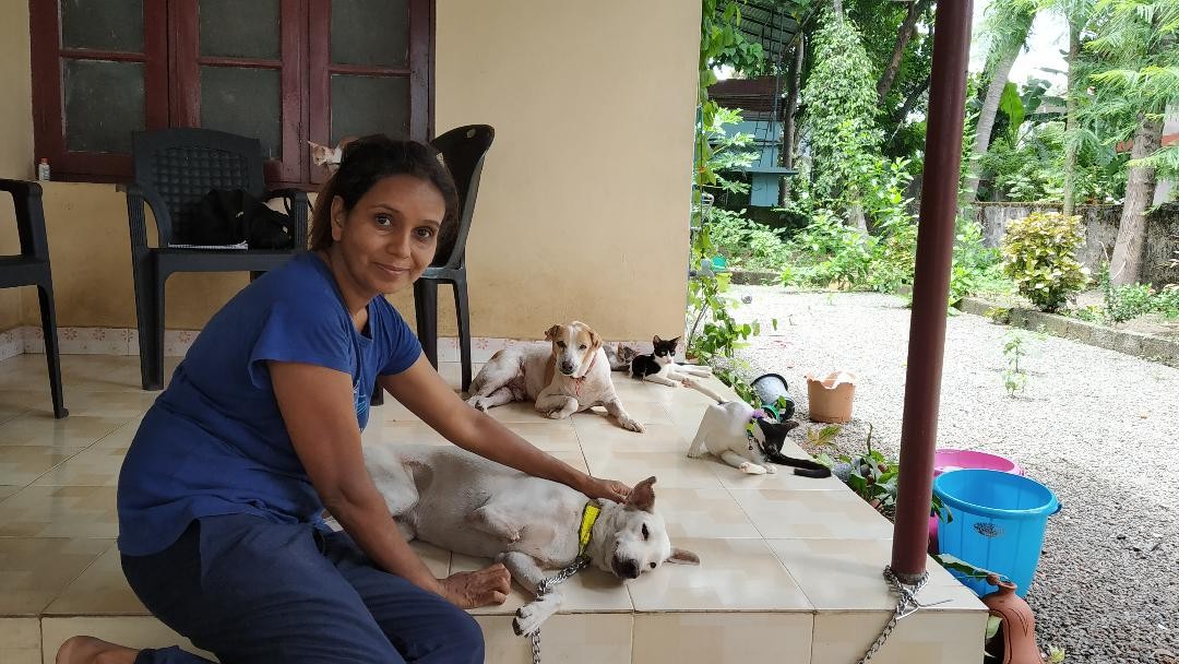 Sachithra Soman runs a shelter for dogs and cats, at Kochi, many of whom  have paralytic injuries