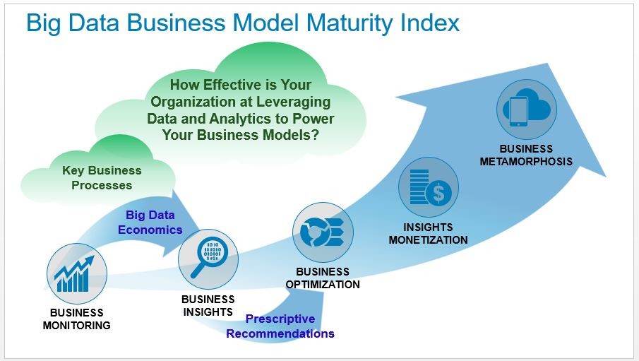 Big Data Business Model Maturity Index Guide