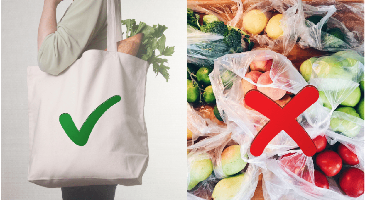 No More Plastic Bags: The Gift New Zealand Supermarkets Got For Christmas
