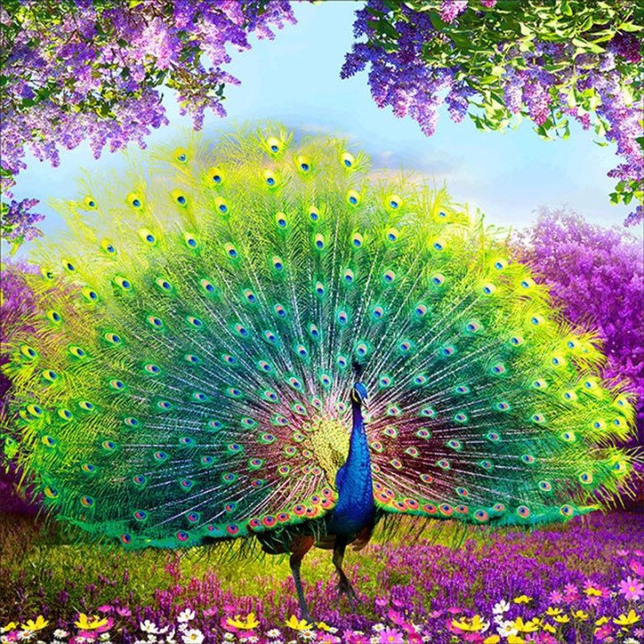 7 Lessons We Can Learn From The Peacock