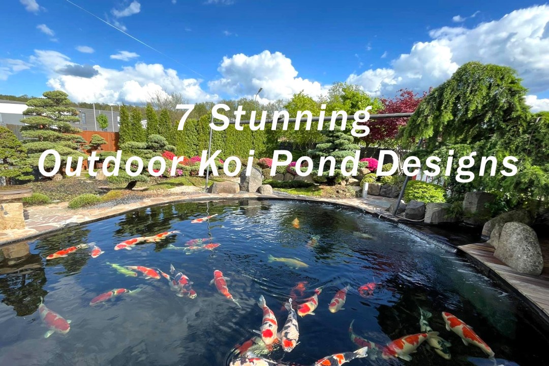 7 Stunning Outdoor Koi Pond Designs