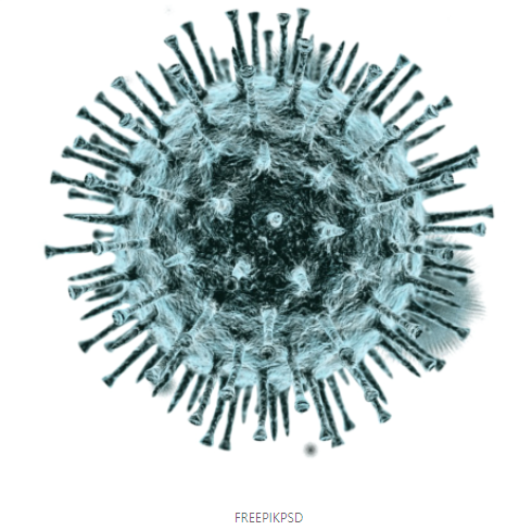 The Coronavirus Disease 2019 (COVID-19) Outbreak from the Perspective of a Scientist, Epidemiologist, and Medical Writer
