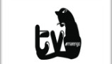 A TV Chalix apresenta a emissora para quem gosta de gatos brincando dormindo em fim os adora CATTV - UK