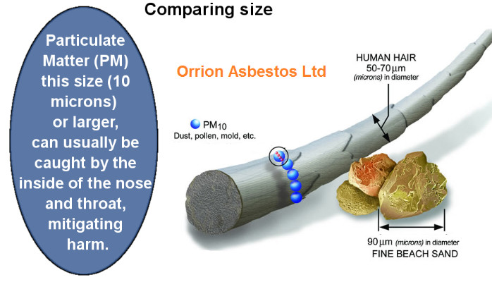 Size of Asbestos Fibres