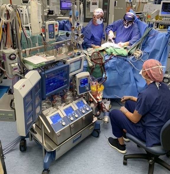 How to Become a Cardiovascular Perfusionist: Master the Art of Heart How to Become a Cardiovascular Perfusionist: Master the Art of Heart