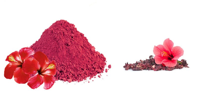 Hibiscus Flower Powder Make Your Skin and Hair Healthy