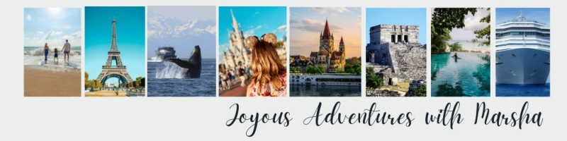 joyous adventures travel agency