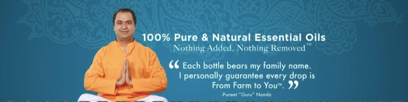 Guru Nanda - Chief Executive Officer - GuruNanda LLC