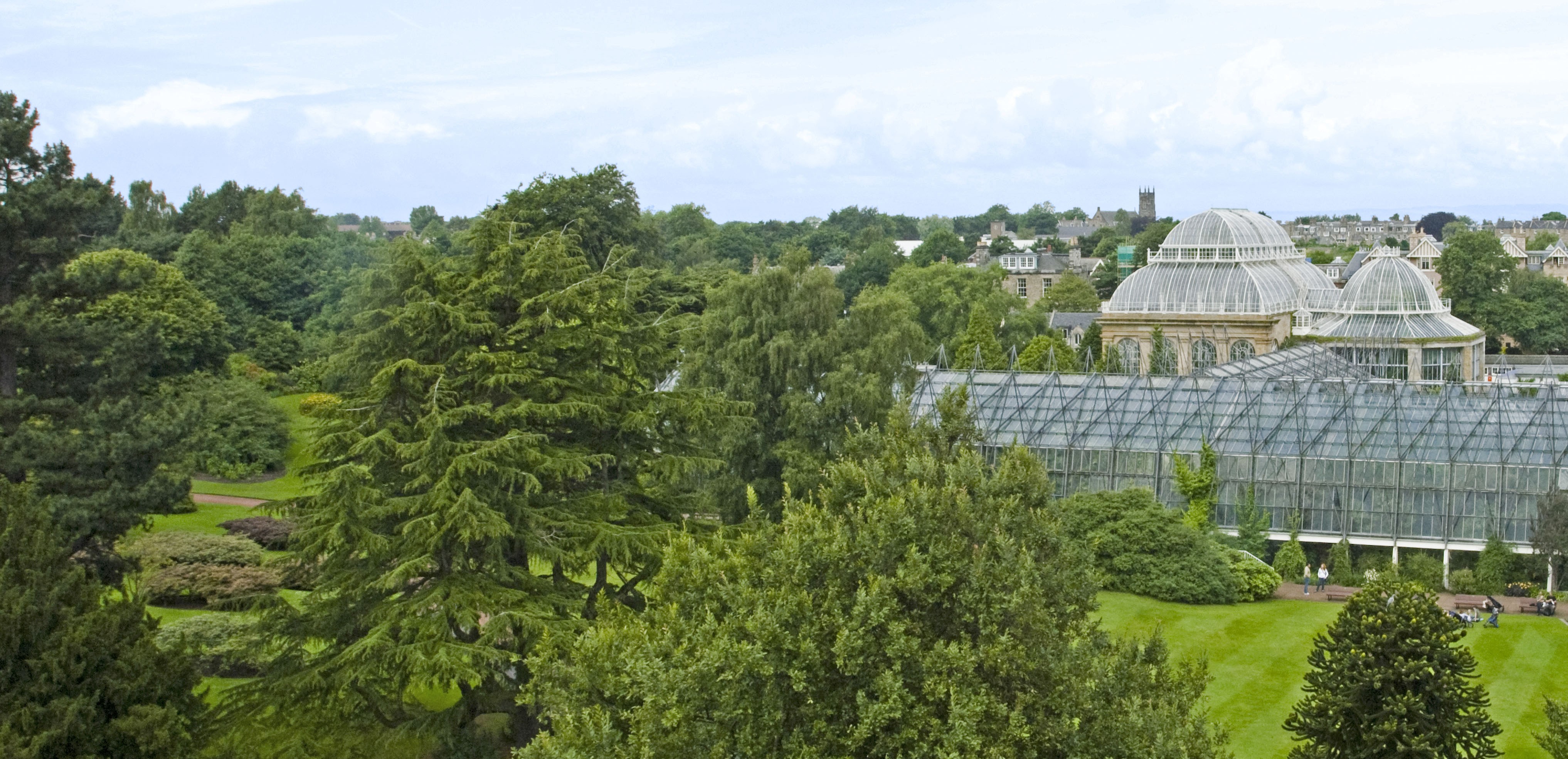 Royal botanic garden edinburgh
