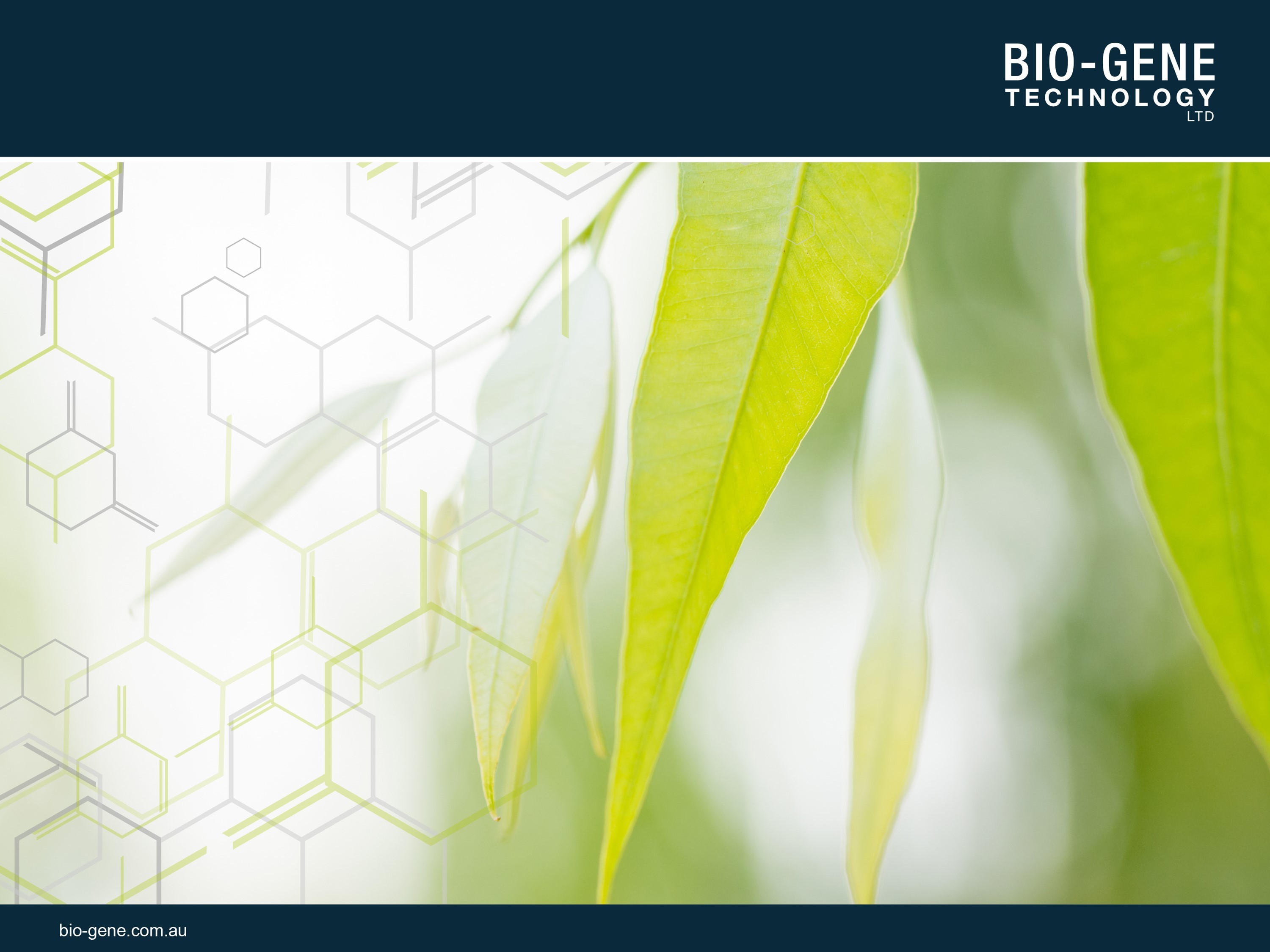 Bio Gene Technology Limited LinkedIn Bio Gene Technology Limited LinkedIn