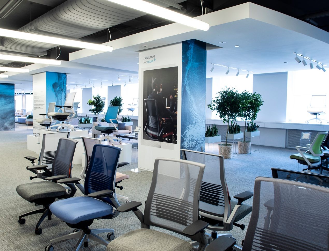 Exemplis Llc Linkedin