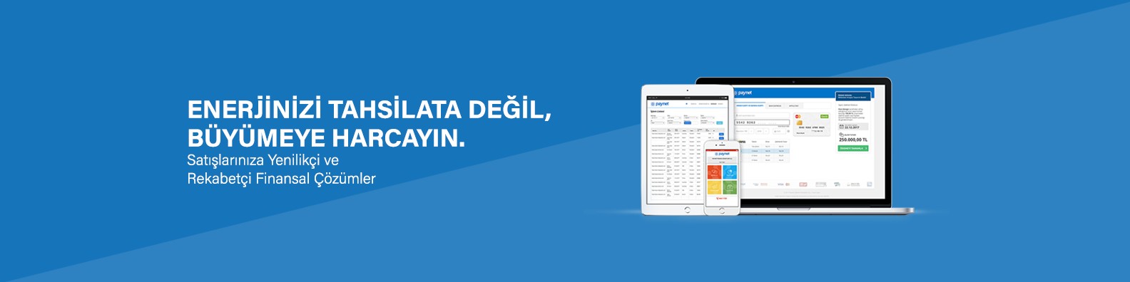 Paynet Odeme Hizmetleri Linkedin
