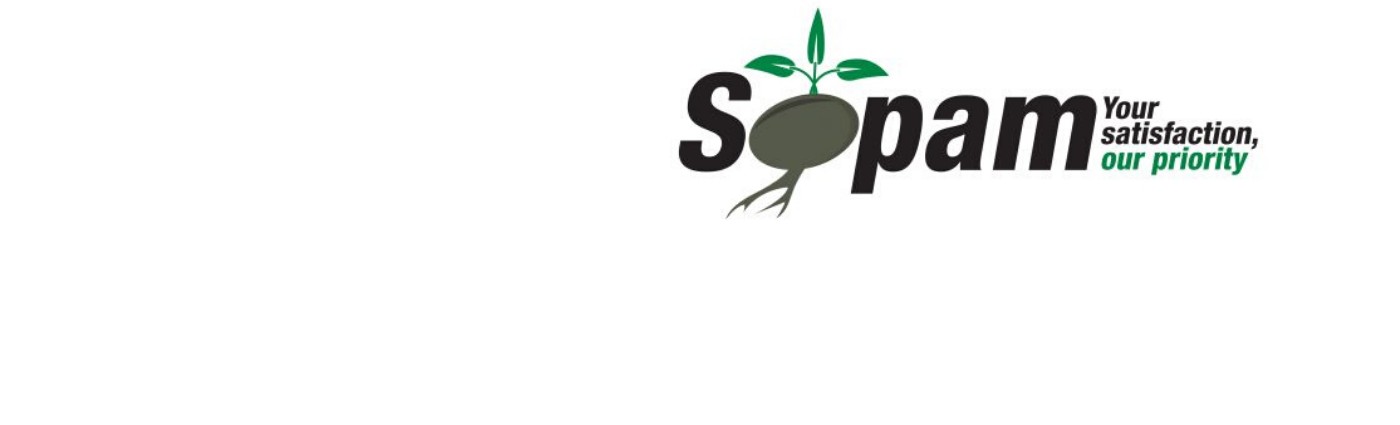 Sopam Limited