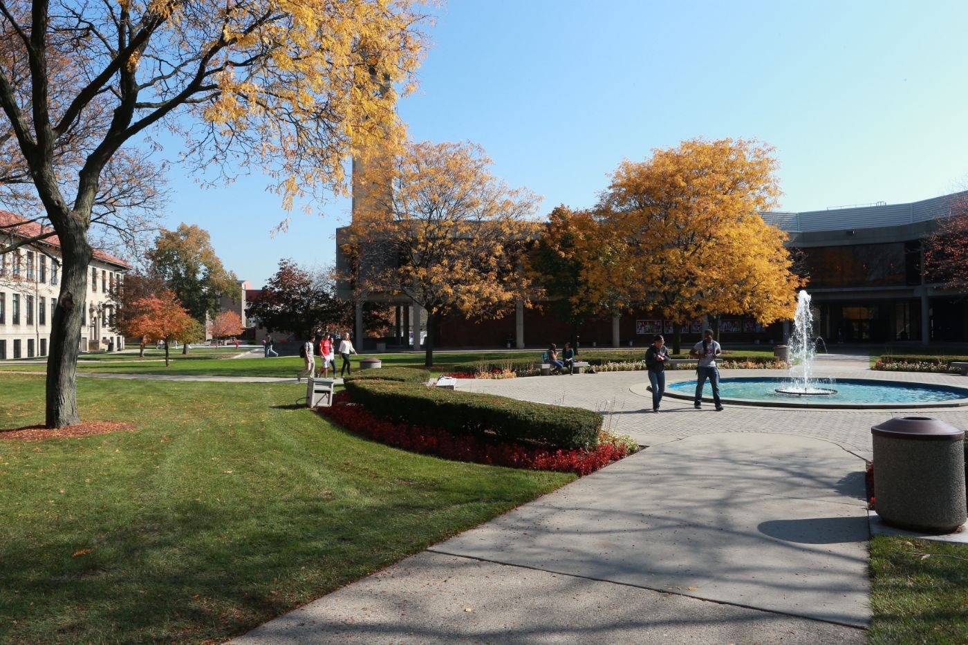 University Of Detroit Mercy >> University Of Detroit Mercy Linkedin University Of Detroit Mercy >> University Of Detroit Mercy Linkedin