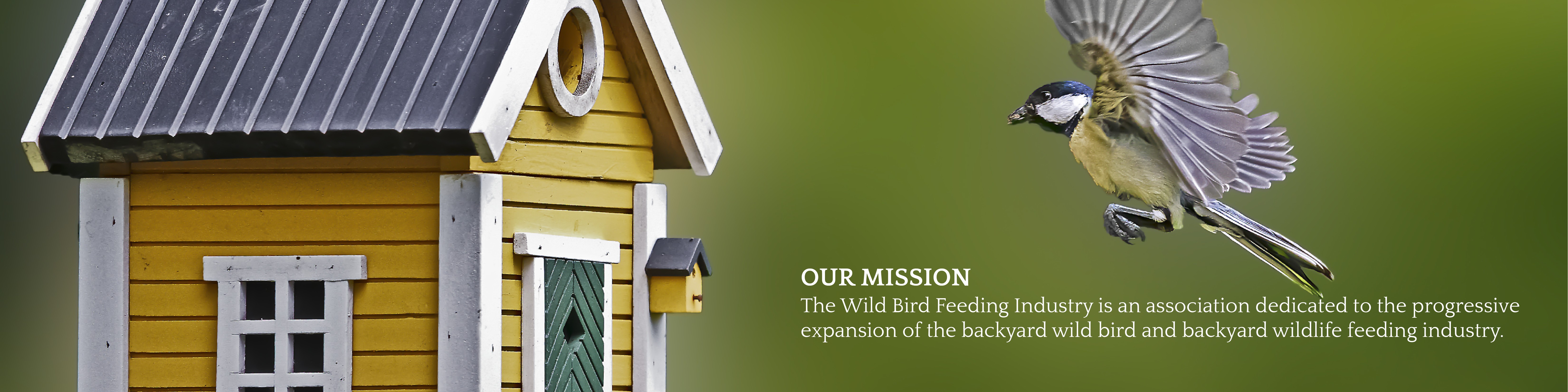 The Wild Bird Feeding Industry Wbfi Linkedin