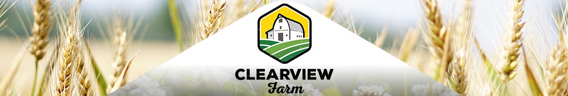 Safflower - Clearview Farm