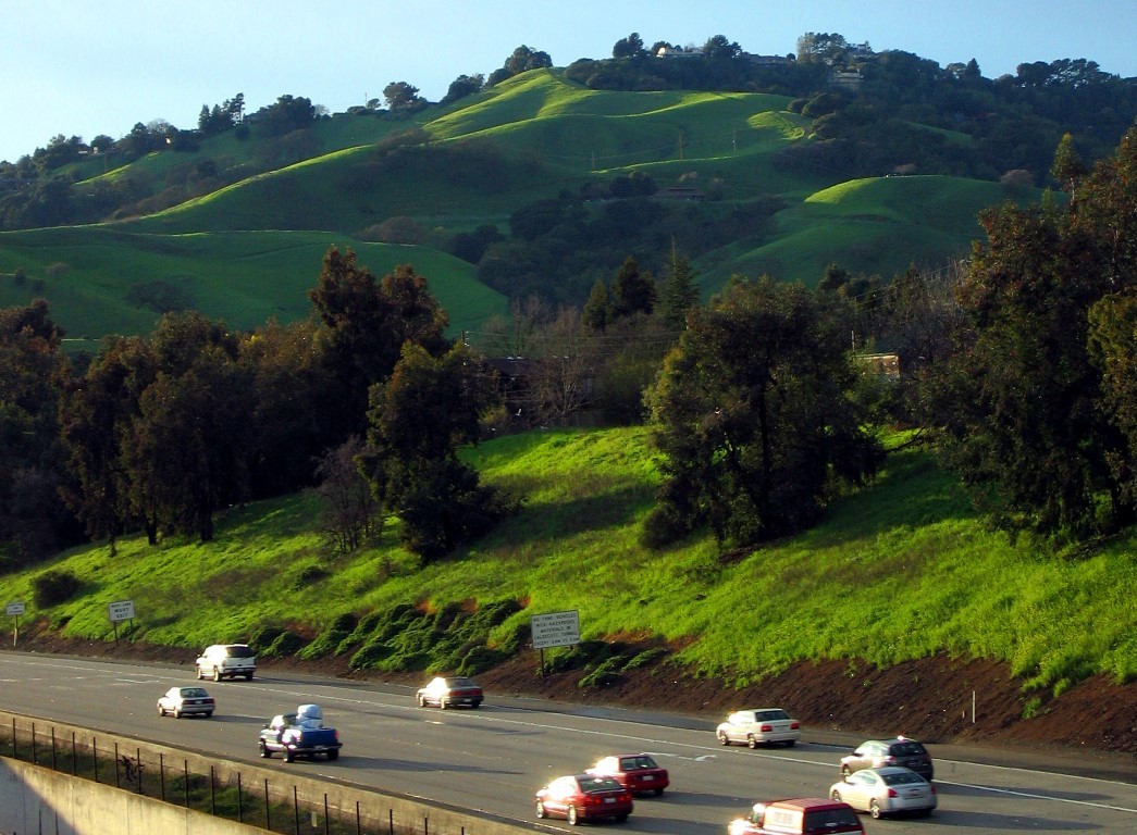 City Of Lafayette >> City Of Lafayette California Linkedin City Of Lafayette >> City Of Lafayette California Linkedin