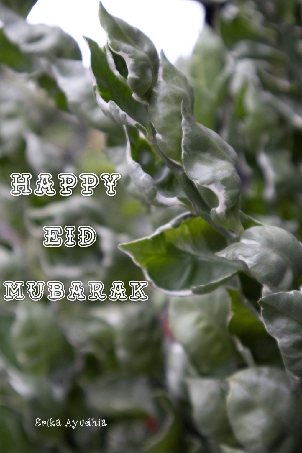 Erika Ayudhia on LinkedIn: Eid is a day to cheer up and laugh with all Erika Ayudhia on LinkedIn: Eid is a day to cheer up and laugh with all
